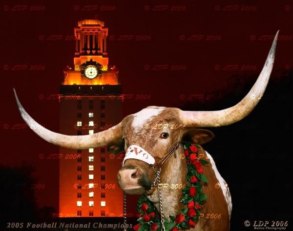 Bevo_XIIII.jpg