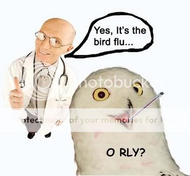 BirdFluORLY.jpg