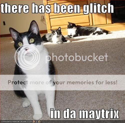 maytrixcatz.jpg