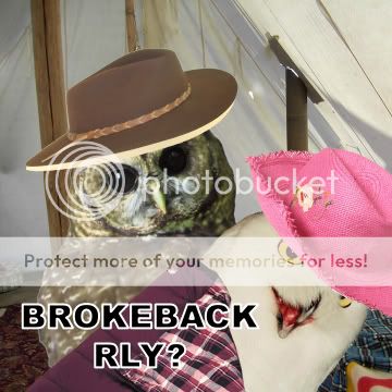 BrokeBack_Rly.jpg