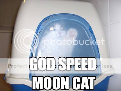 godspeedmooncat.jpg